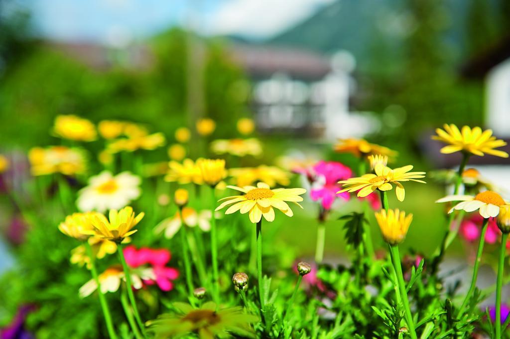 Parkhotel Wallgau 4 Sterne Superior Alpenjuwel Mit Spa Genuss, Golf & Wellness In Der Karwendel-Region Tradition Trifft Eleganz Im Stilvollen Rueckzugsort Esterno foto